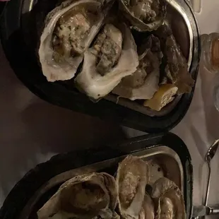 oysters on the half shell