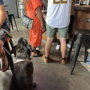 Dog treats for puppers are on hand by the register!