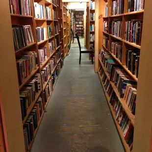 Shelves and shelves of books!