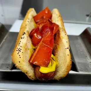 hot dog, hot dogs, food, sandwich