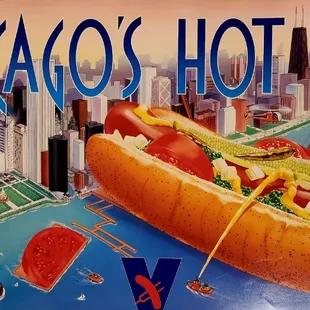 hot dogs, food