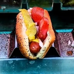 hot dogs, sandwich, hot dog, food