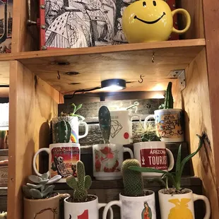 Cacti in upcycled mugs, $14.95