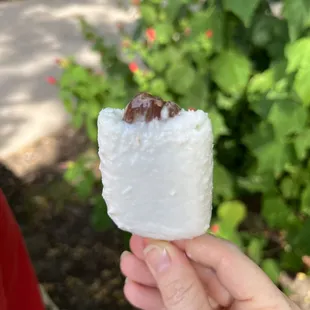 Coconut Nutella