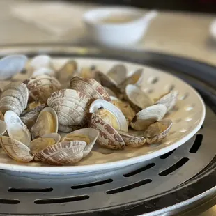 soups and chowder, chowder, soup, food