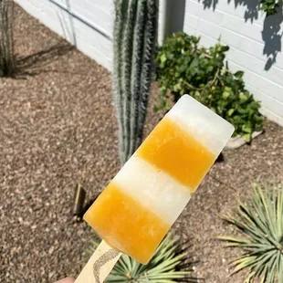 a hand holding a popsicle in front of a cactus