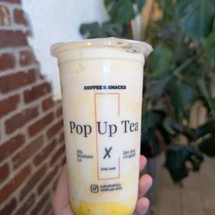 Snow ice yogurt (mango)