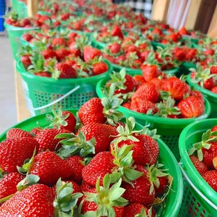 Fresh spring strawberries.