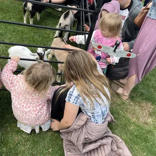 Meeting baby goats!