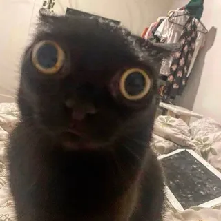 I W.