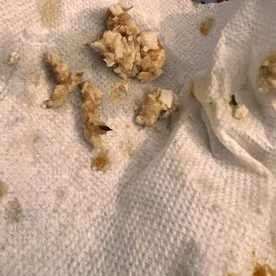 Part of the dead fly my husband Spit out