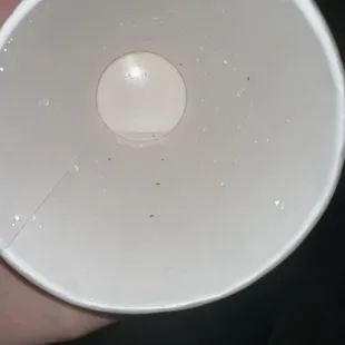 bugs we found inside drink