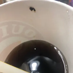 BUG IN MY DRINK!