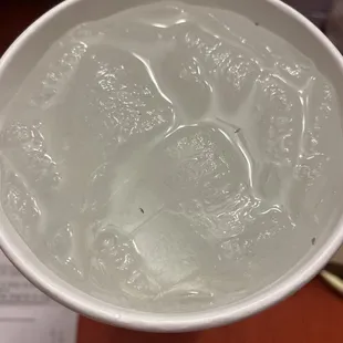 the bugs in my drink.