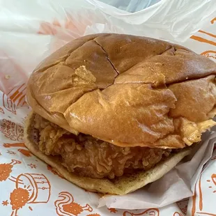 a pulled pork sandwich
