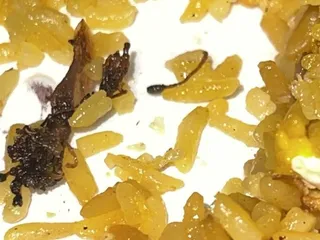 Bamboo Creek - China Bistro