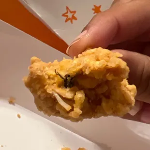 I was eating my spicy chicken tender and I looked at my tender and there was a fly IN my chicken tender it grossed me out very bad.
