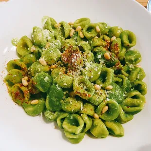 orecchiette w/ pesto and fava beans