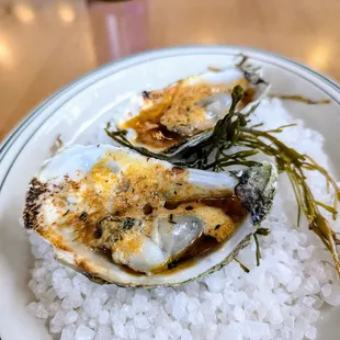 Daphne grilled oysters