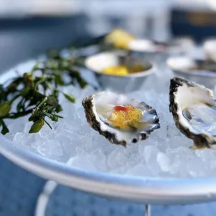 Oyster dressed w/ yuzu tobiko, mignonette, cocktail sauce