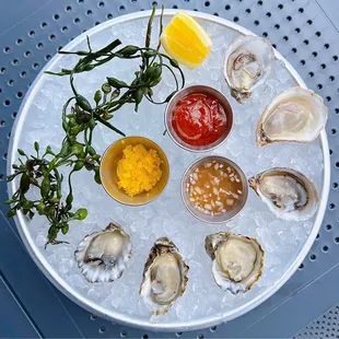Shigoku + Kumamoto Oysters w/ mignonette, cocktail sauce, yuzu tobiko | 1/2 dozen - $22