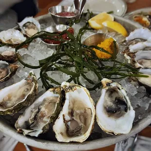 Dozen Oysters
