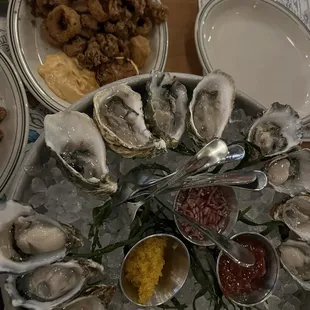 Oysters, fried Calamari