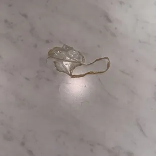 Piece of plastic that I found in my salad.