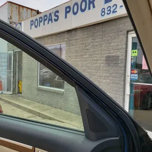 a dog in a car