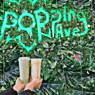 Matcha-cha and caramel flan ice milk