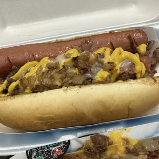 Pastrami dog
