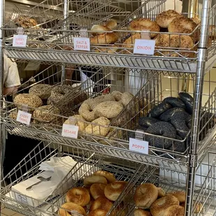 Poppy Bagels