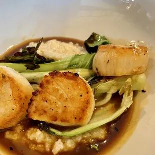 Scallops