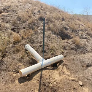 Poison all over the course..