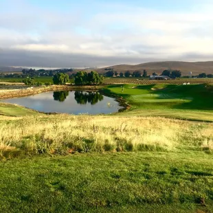 Elevated Par 3 with a water feature/hazard.