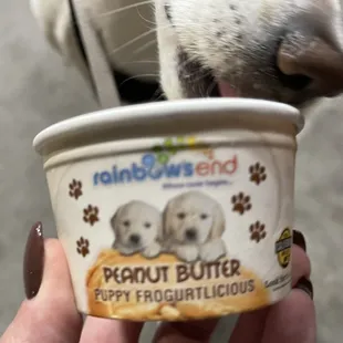 a dog licking a cup of ice cream