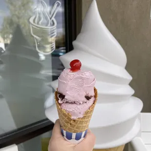 Variety of Thrifty Ice Cream flavors for everyone to enjoy!