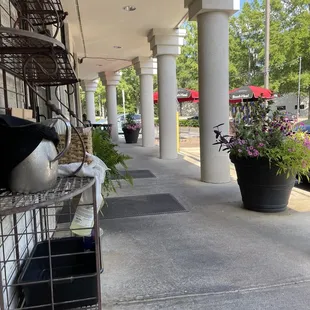 a row of flower pots on a sidewalk