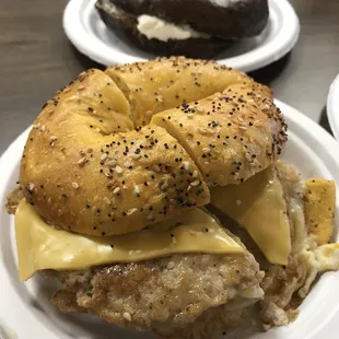 Sausage egg and cheese on everything egg bagel