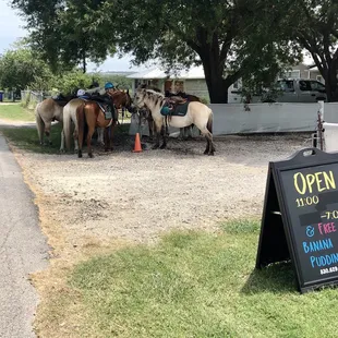 a group of horses standing around a sign
