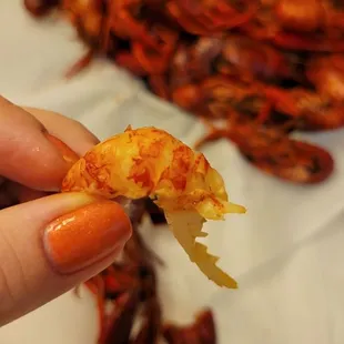 a person holding a piece of food