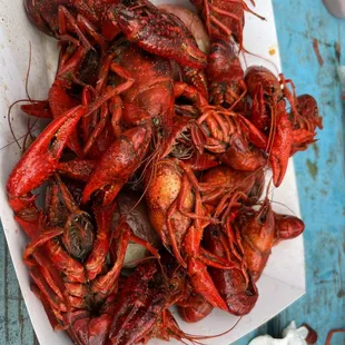 Crawfish