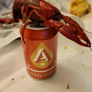 Spicy always pairs great with local Amber ale. Cheers!