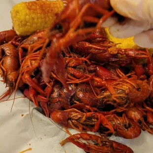 ramen and noodles, ramen, noodle soup, noodle dish, food, noodles