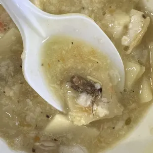 Chicken Noodle Soup AND A BUG