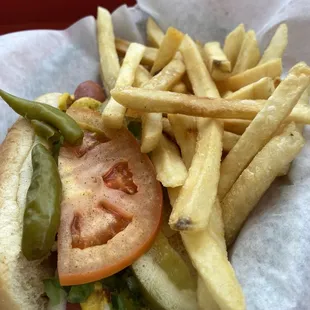 Chicago dog and fries