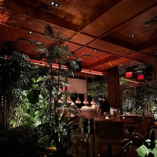 a dimly lit restaurant with potted plants