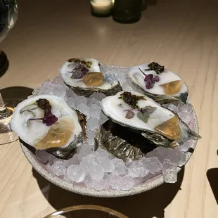 East Coast Oysters
