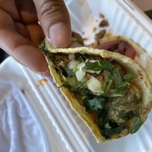 Pollo verde taco