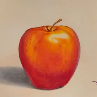 Color pencil drawing using Pourch art supplies.